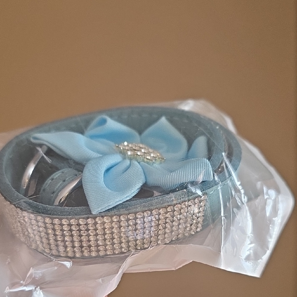 Elegant Blue Rhinestone Dog Collar